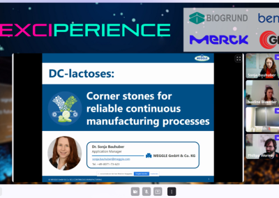 DC-lactoses: cornerstones for reliable continuous manufacturing processes